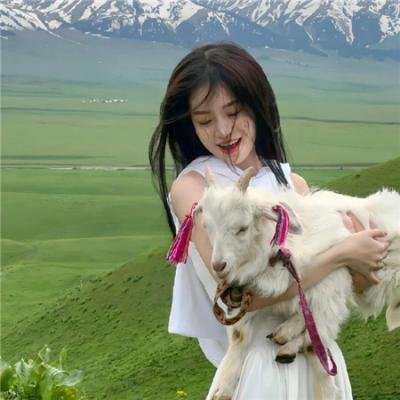 水晶仙女与魔法仙人掌